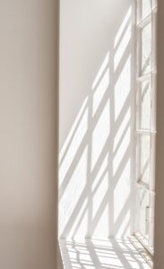 haute stock photography subscription citron collection final 17